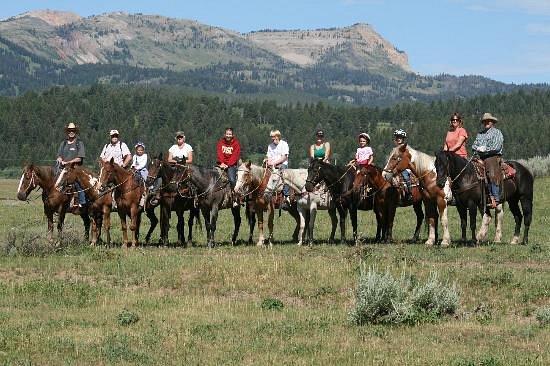 Yellowstone Horses - Eagle Ridge Ranch