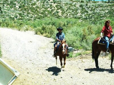Mount Charleston Riding Stable