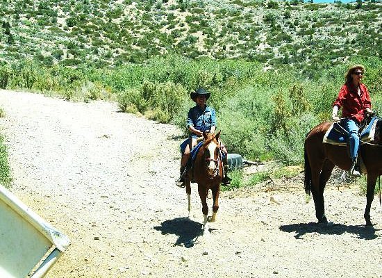 Mount Charleston Riding Stable