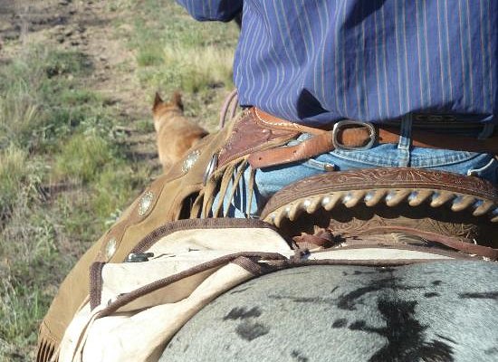 Cowboy Way Adventures