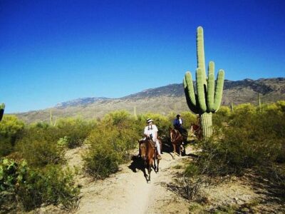 Houston's Horseback Riding