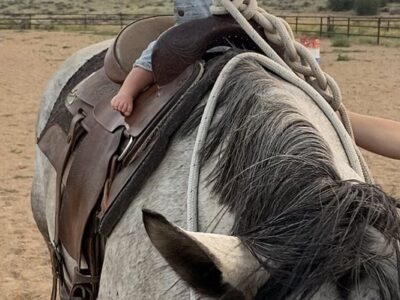 Z Cross Ranch