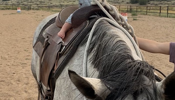 Z Cross Ranch