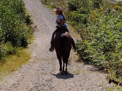 Martin Family Ranch