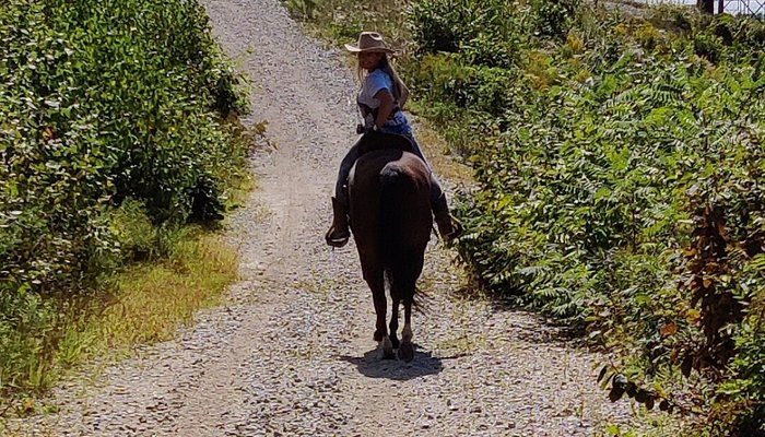 Martin Family Ranch