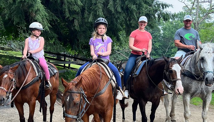 Saddle Up Stables