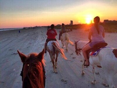 Galveston Island Horse & Pony Rides