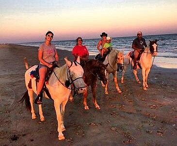 Galveston Island Horse & Pony Rides