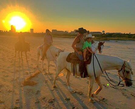 Galveston Island Horse & Pony Rides