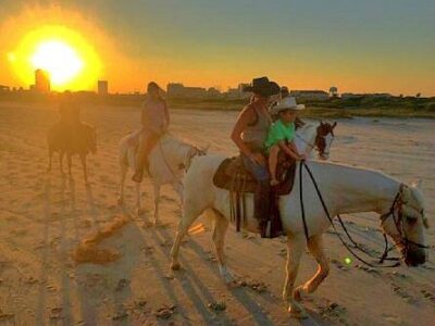 Galveston Island Horse & Pony Rides