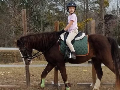 Pony Gang Equestrian Services