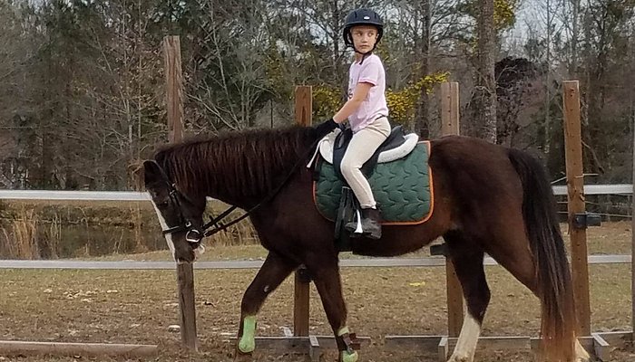 Pony Gang Equestrian Services