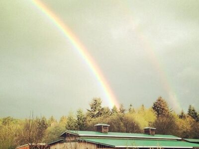 Heron Pond Farm Equestrian Center