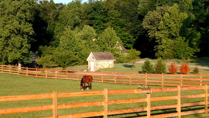 Williamsburg Riding Academy