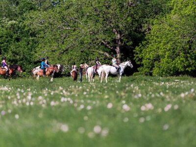 Tri-Star Farm