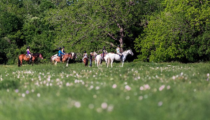 Tri-Star Farm