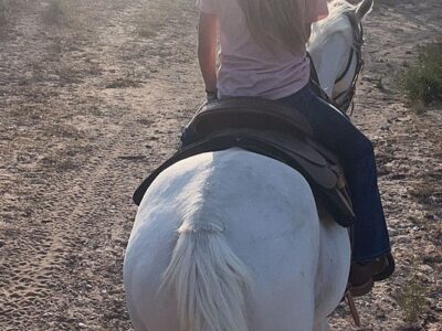 GF Ranch Trail Rides
