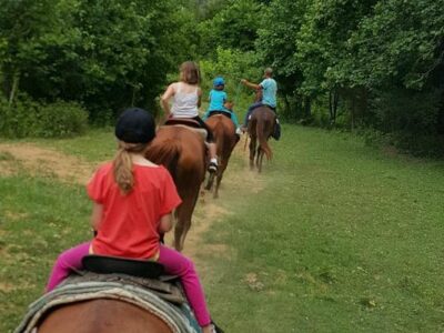 GoldRush Stables & Carriage Rides