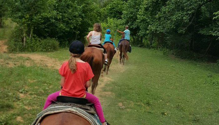 GoldRush Stables & Carriage Rides