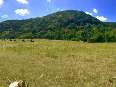 Cross G Ranch Trail Rides