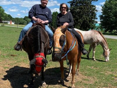 Why-Not Riding Stable