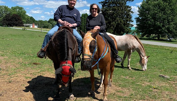 Why-Not Riding Stable