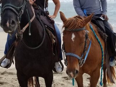 Blanco Brothers Ranch