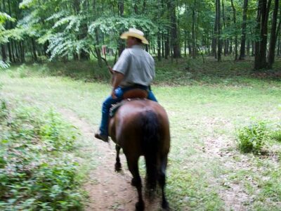 The Marriott Ranch Bed and Breakfast
