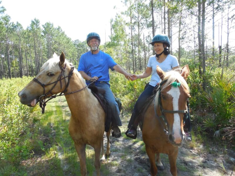 Amelia Island: Beach Horseback Riding Adventure