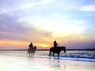 Amelia Island: Beach Horseback Riding Adventure