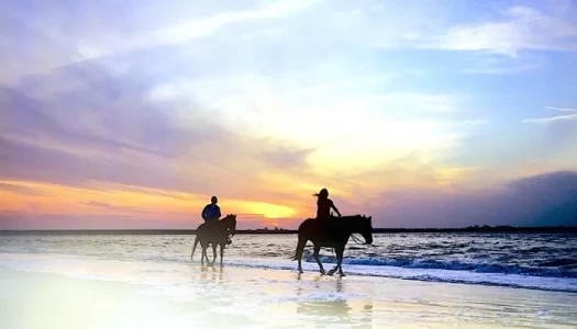 Amelia Island: Beach Horseback Riding Adventure