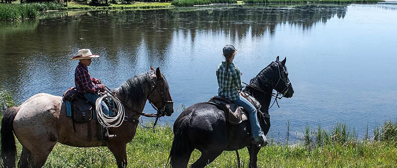 Dry Ridge Outfitters: Wyoming and Idaho Horseback Riding Adventures