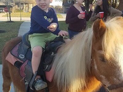 Sarah's Pony Rides
