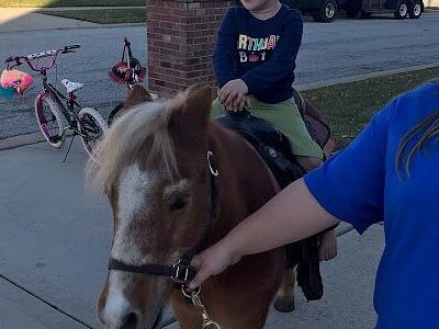 Sarah's Pony Rides