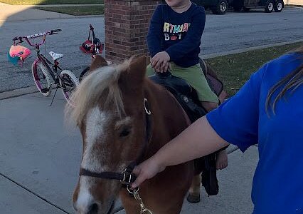 Sarah's Pony Rides