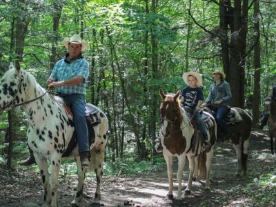 Ruggiero's Public Horseback Riding And Cabin Rentals