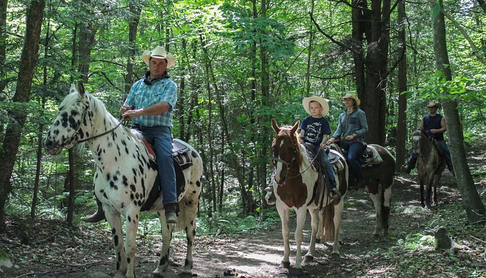 Ruggiero's Public Horseback Riding And Cabin Rentals