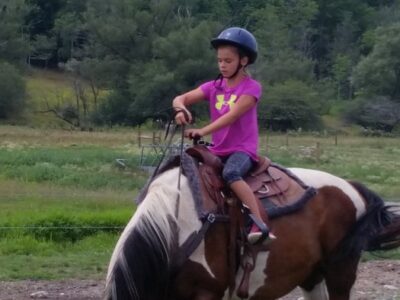 Cinch 'em UpStables