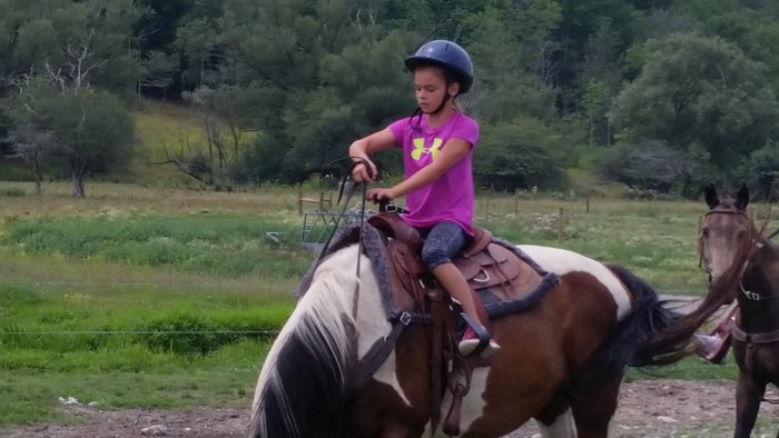 Cinch 'em UpStables
