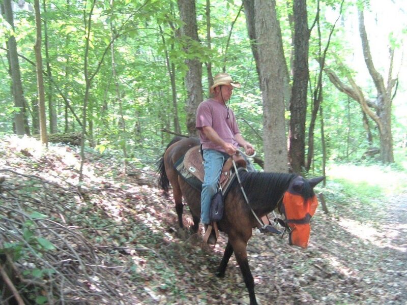 Adventure Horse Riding in NYS