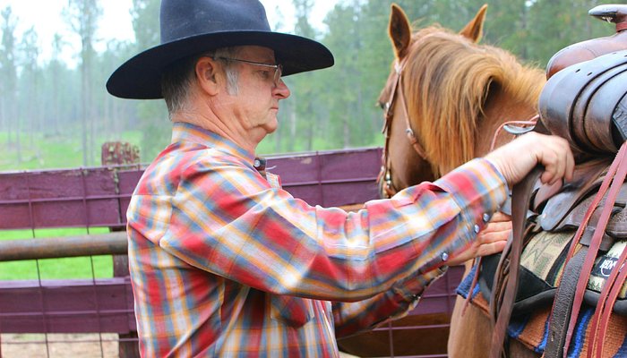Hollingsworth Horses