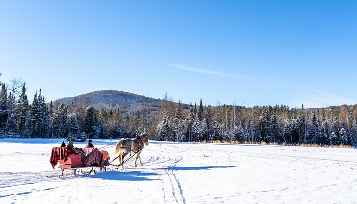 Franconia Notch Stables
