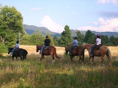 Adirondack Equine Center