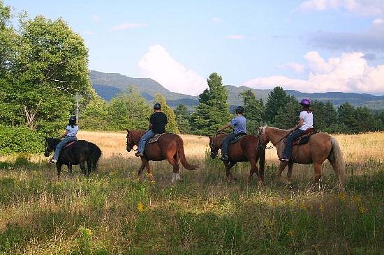 Adirondack Equine Center