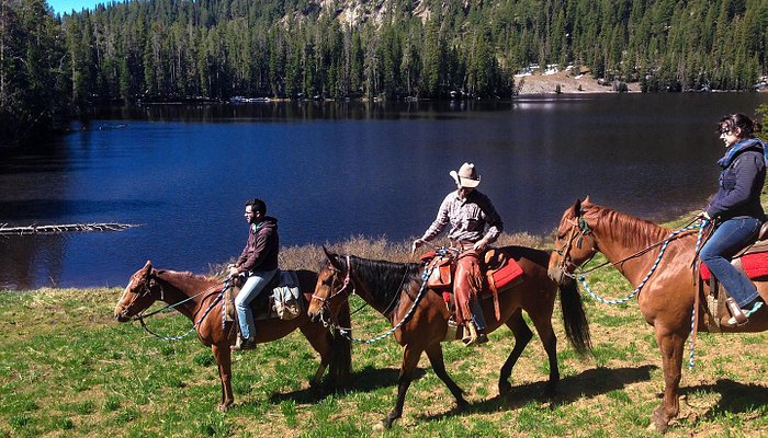 Parade Rest Ranch
