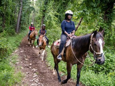 Mountain Creek Riding Stable