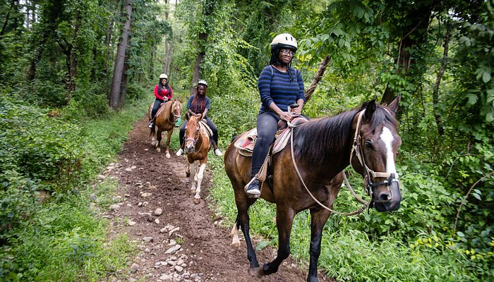 Mountain Creek Riding Stable