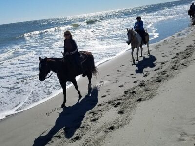 Horseback Riding Of Myrtle Beach