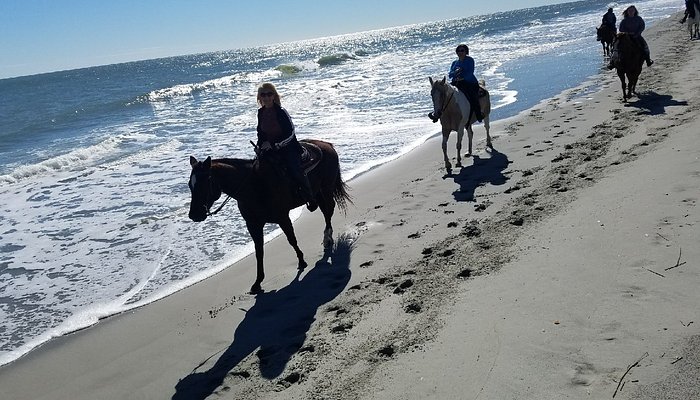Horseback Riding Of Myrtle Beach