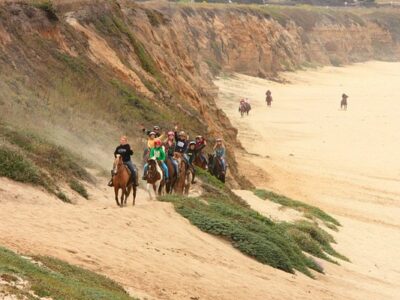 Sea Horse Ranch